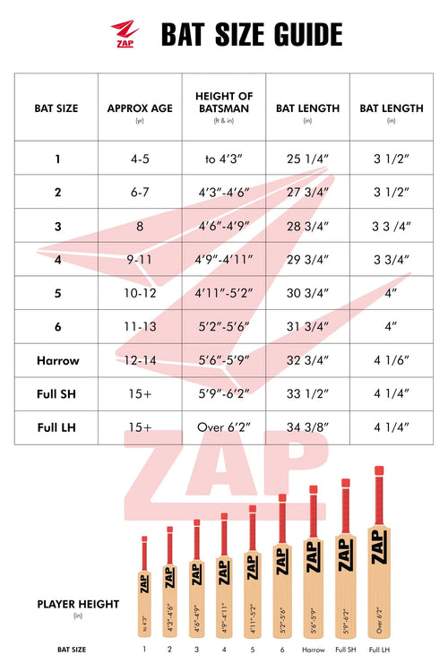 ZAP Drive Kashmir Willow Bat