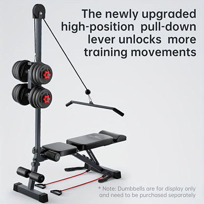 Dumbbell Sit-Up Bench Home Gym Equipment