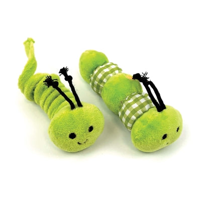 Happy pet tabby patch caterpillars