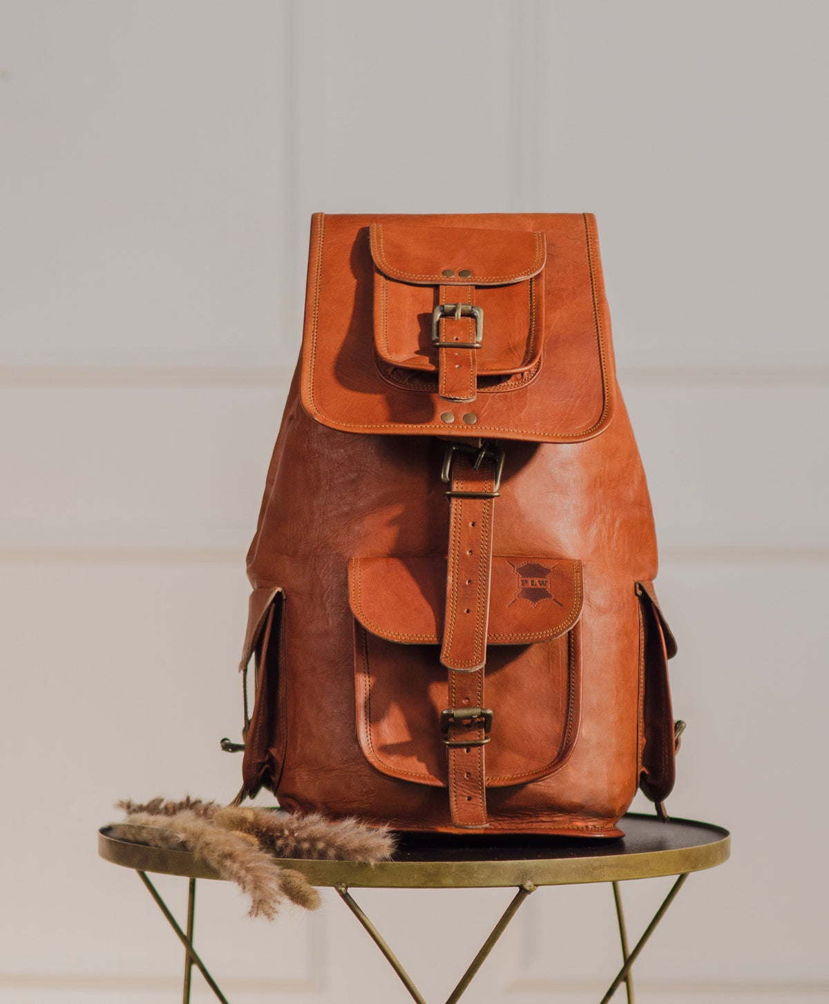 Classic Journey Leather Backpack Pittu