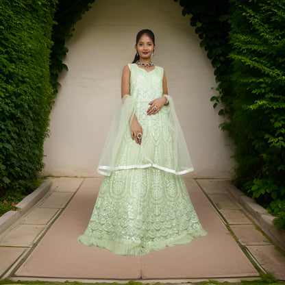 Gown with Thread Work & Stones by Shreekama