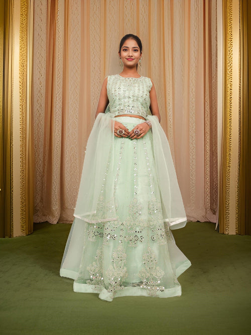 Designer Lehenga Choli with Embroidery and Mirror Peal Work by Shreekama
