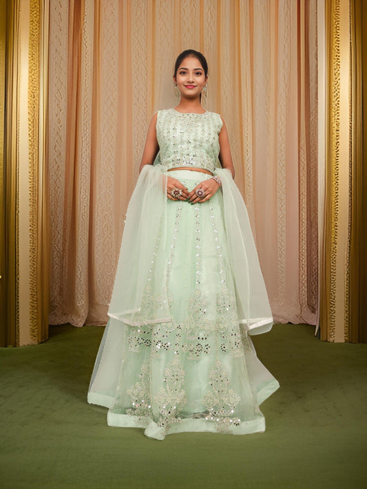 Designer Lehenga Choli with Embroidery and Mirror Peal Work by Shreekama