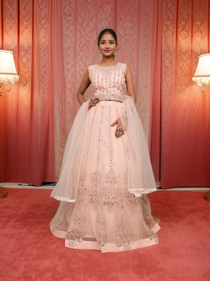 Designer Lehenga Choli with Embroidery and Mirror Peal Work by Shreekama