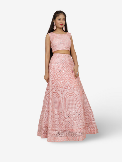 Embroidered & Zari Thread Work Lehenga Choli Set