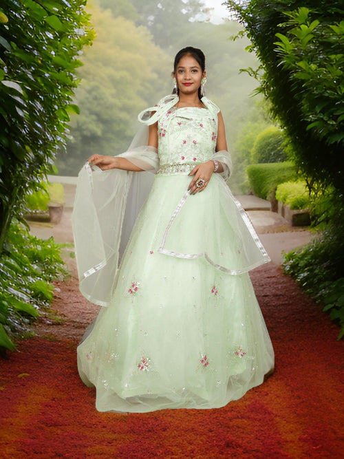 Stone & Sequin Lehenga Choli Set
