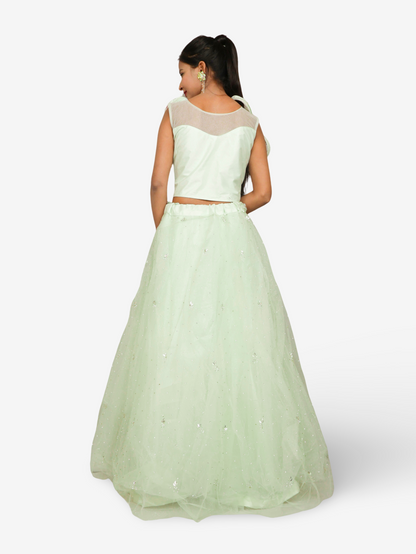 Stone & Sequin Lehenga Choli Set