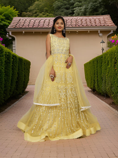 Net Fabric Gown with Pearl & Embroidery by Shreekama