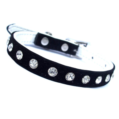 Majestic Crystal Dog Collar