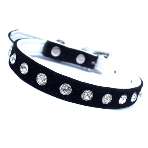 Majestic Crystal Dog Collar