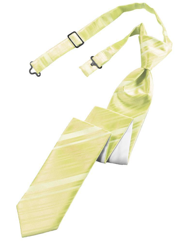 Striped Satin Skinny Necktie Pre-Tie