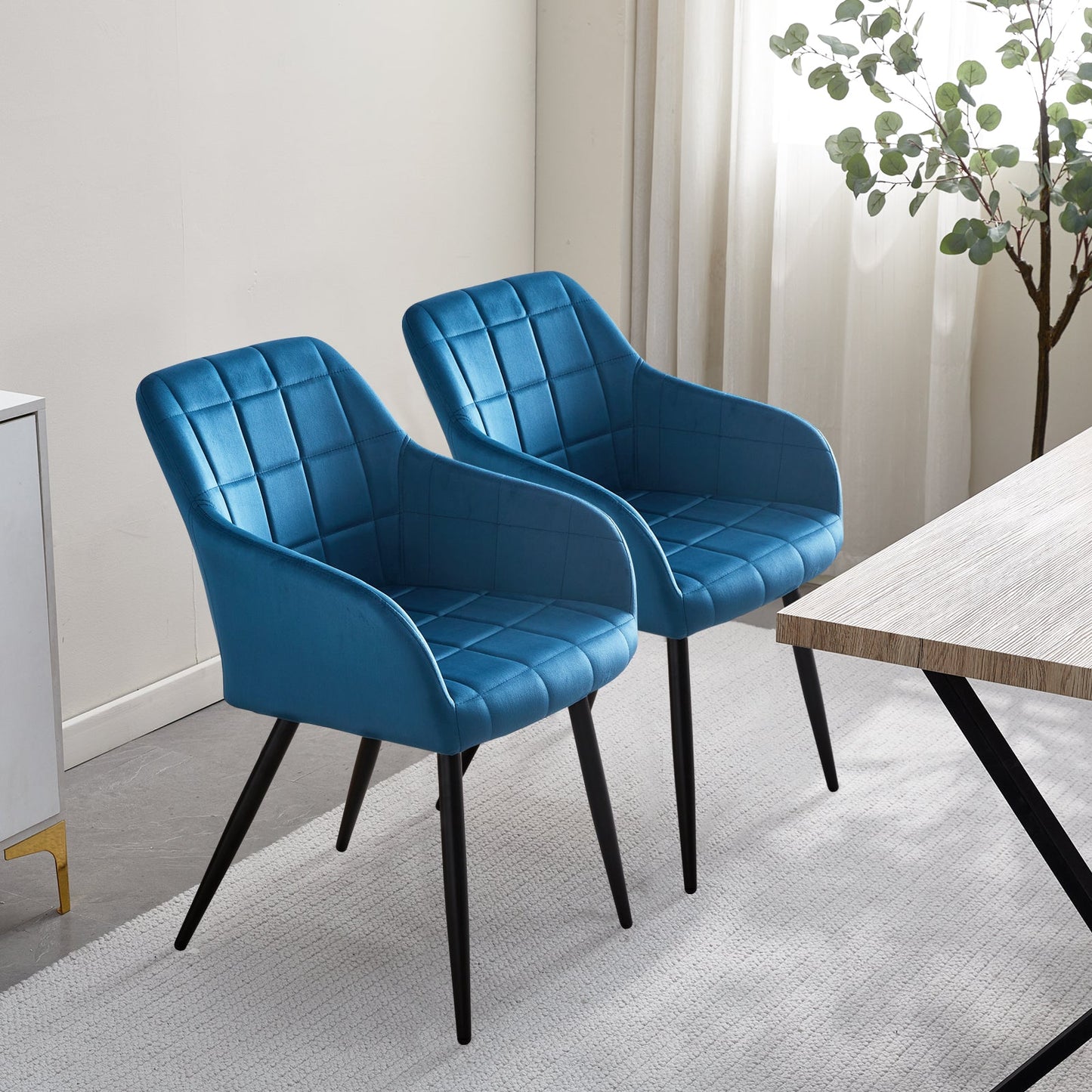 Bloor Velvet Dining Chairs [Set of 2]