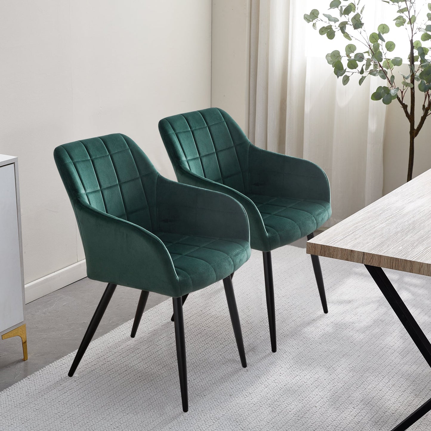 Bloor Velvet Dining Chairs [Set of 2]