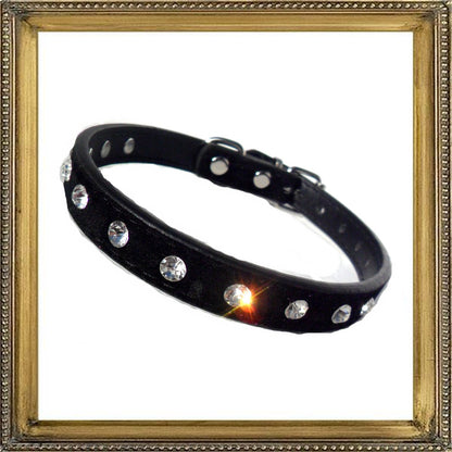 Majestic Crystal Dog Collar