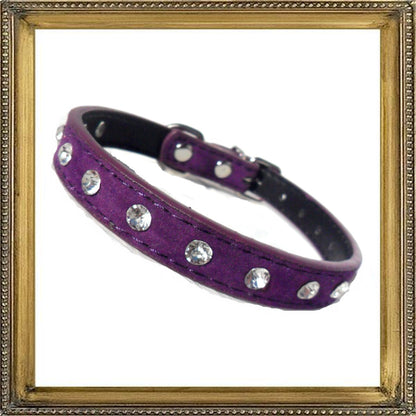 Majestic Crystal Dog Collar